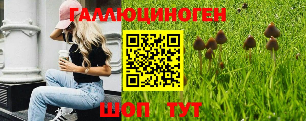 Липецк  Псилоцибиновые грибы Cubensis  Вход с VPN 