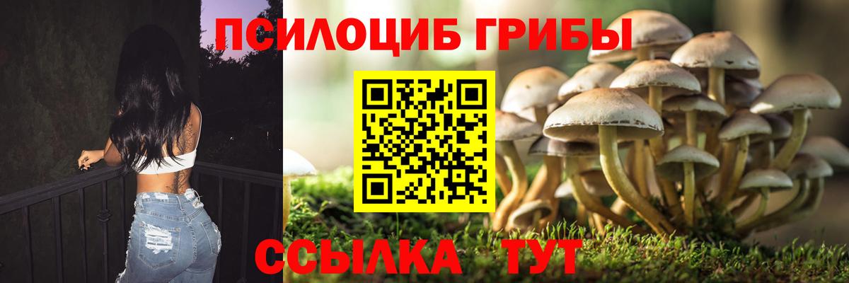 Псилоцибиновые грибы Psilocybine cubensis Липецк